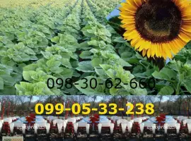Сеялка СУПН-8 + модернизированная цена / продажа / Днепр