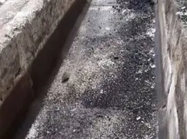 Зображення для оголошення Фермы