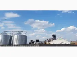 Зображення для оголошення Продажа элеватора 55тыс.т хранения