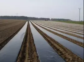 Зображення для оголошення Плівка мульчуюча вторинна/первинна Vatan Plastik
