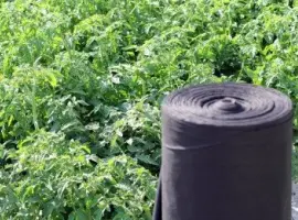 Зображення для оголошення Агроволокно Агротекс 3