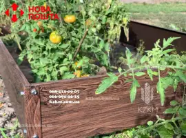 Зображення для оголошення Грядка городна