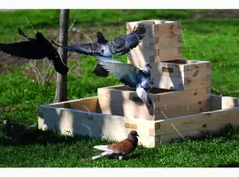 Зображення для оголошення Высокие грядки Organic Box