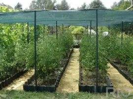 Зображення для оголошення Сетка затеняющая Karatzis зеленая (4х50) 50%