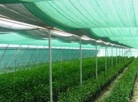 Зображення для оголошення Сетка затеняющая Karatzis зеленая (8х50) 65%