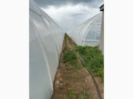 Зображення для оголошення Теплична плівка Vatan Plastik - найкраща якість Турція 2023
