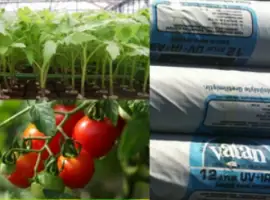 Зображення для оголошення Топ плівка для теплиці Ватан Пластік/Vatan Plastik