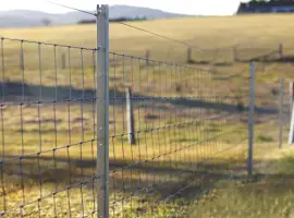 Зображення для оголошення Сетка Казачка облегченная - дешёвый садовый забор