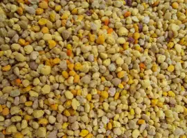 Продам пыльцу 2026 года