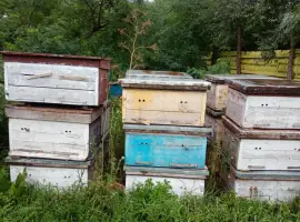 Продам вулики лежаки бу