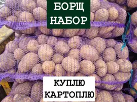 Куплю Картоплю ОПТ Україна
