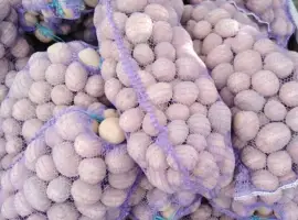 Зображення для оголошення Продам картоплю