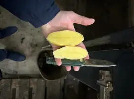 Куплю картофель для столовых(второй сорт)