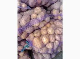 Зображення для оголошення Продам картошку різних сортів