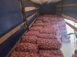 Продам картоплю