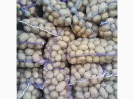 Зображення для оголошення Продам картоплю з піску від населення велика і насінева