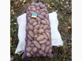 Продам картоплю середнього калібру