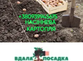 Реалізація насінневого матеріалу 1