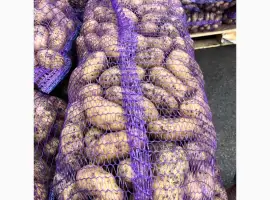 Продам картоплю