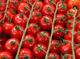 Зображення для оголошення Продам семена Томат черри Восторг Садовода