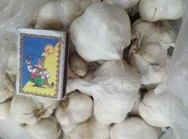 Зображення для оголошення Продам часник озимий великий і на посадку 1 репродукції