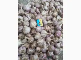 Зображення для оголошення Продам часник