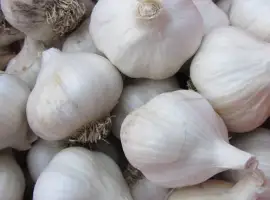 Зображення для оголошення Куплю часник