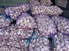 Зображення для оголошення Продам часник/чеснок 3/4/5+ калібр