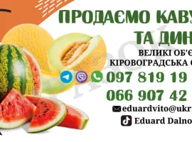Зображення для оголошення Продаємо кавуни та дині