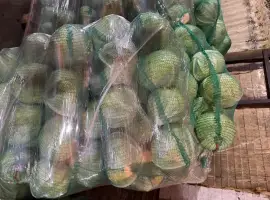 Зображення для оголошення Продаєм капусту оптом