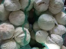 Зображення для оголошення Продам оптом гарну товарну капусту