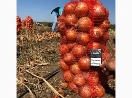 Зображення для оголошення Куплю Цибулю оптом Україна