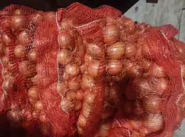 Зображення для оголошення Продам цибулю 5-7