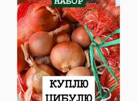 Зображення для оголошення Куплю цибулю ОПТ Україна Борщ Набор