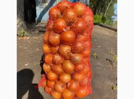 Зображення для оголошення Продам лук репчатый