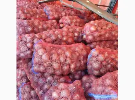 Зображення для оголошення Продам Цибулю Гуртом, Сорт Легенд