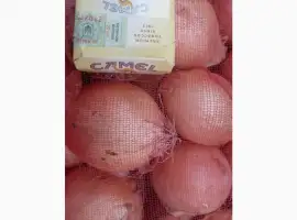 Зображення для оголошення Купуємо цибулю ріпчату