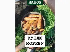 Зображення для оголошення Куплю моркву ОПТ Україна Борщ Набор