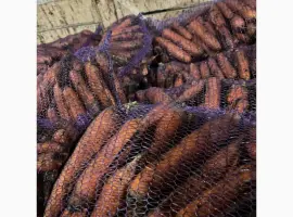 Зображення для оголошення Продам морковь второй сорт