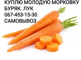 Зображення для оголошення Куплю морковку МОРКВУ дорого0