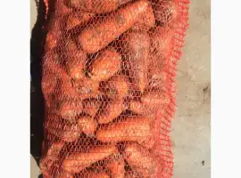 Зображення для оголошення Продам морковь