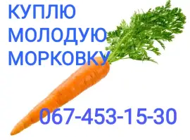 Зображення для оголошення Куплю морковку самовывоз