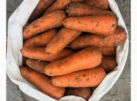 Зображення для оголошення Продам моркву товарну оптом