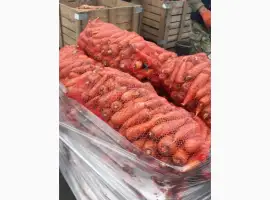 Зображення для оголошення Продам оптом моркву товарну