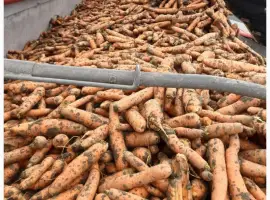 Зображення для оголошення Продам морковь