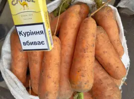 Зображення для оголошення Продаём морковь "Каскад"