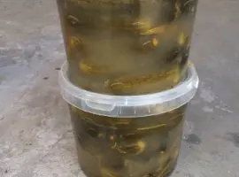 Зображення для оголошення Соленый Огурец