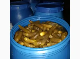 Зображення для оголошення Продам огірок