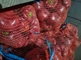 Зображення для оголошення Продам перец