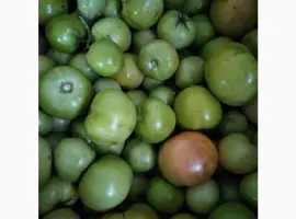 Зображення для оголошення Продам зелені томати (не підмерзлі)